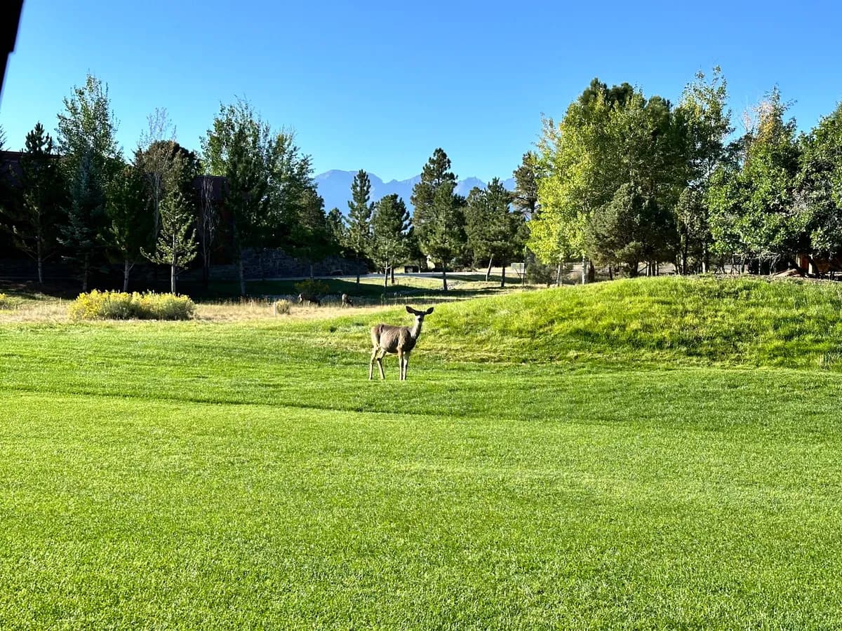 Divide Ranch Golf Club