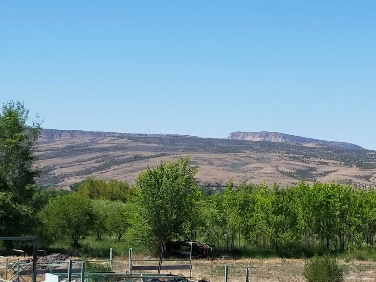 Rogers Mesa Fruit Co., Inc.