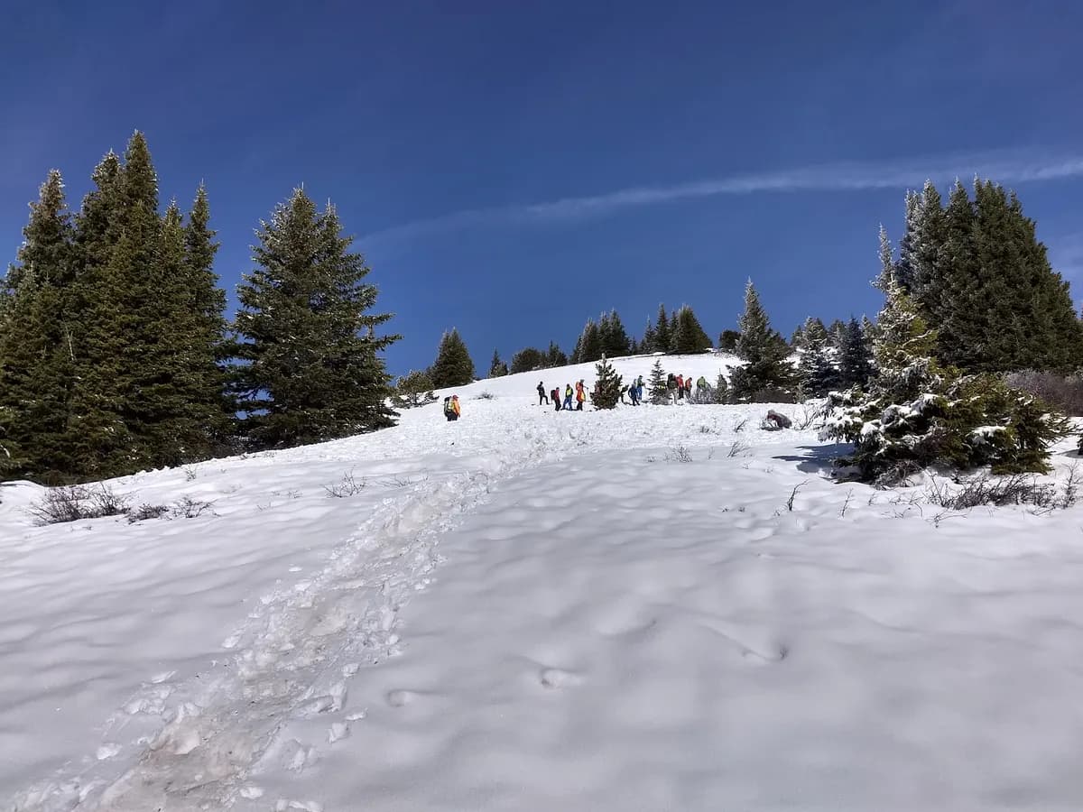 Rabbit Ears Pass East Summit photo 1