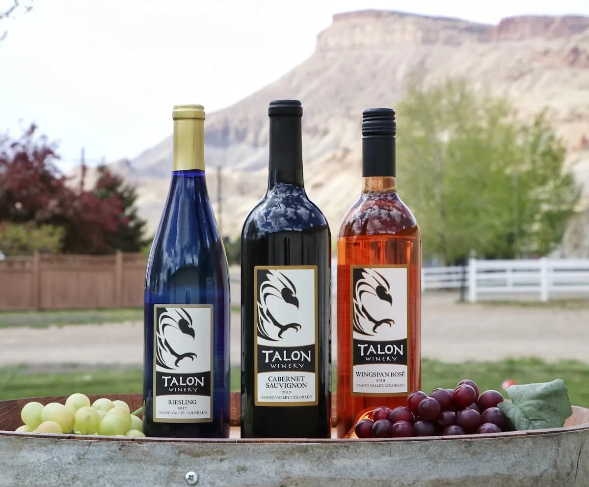 Talon Wines at The Meadery of the Rockies