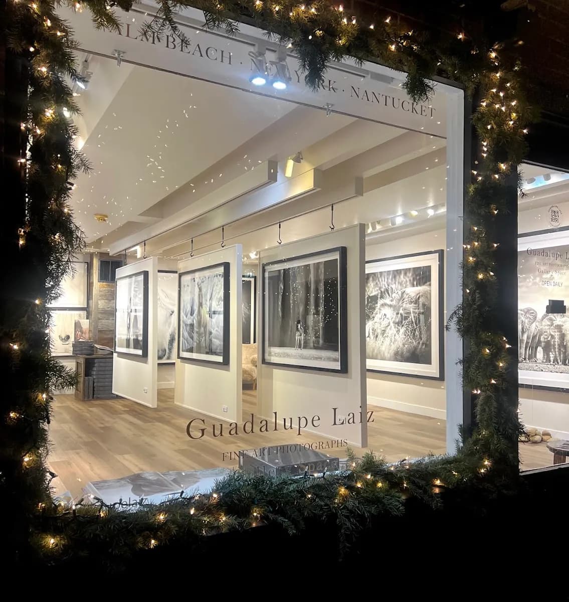 Guadalupe Laiz | Aspen Gallery