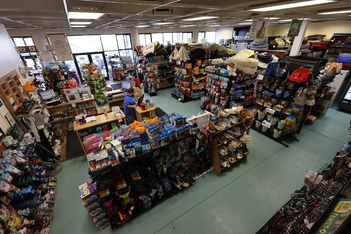RJ Paddywacks Pet Outfitter