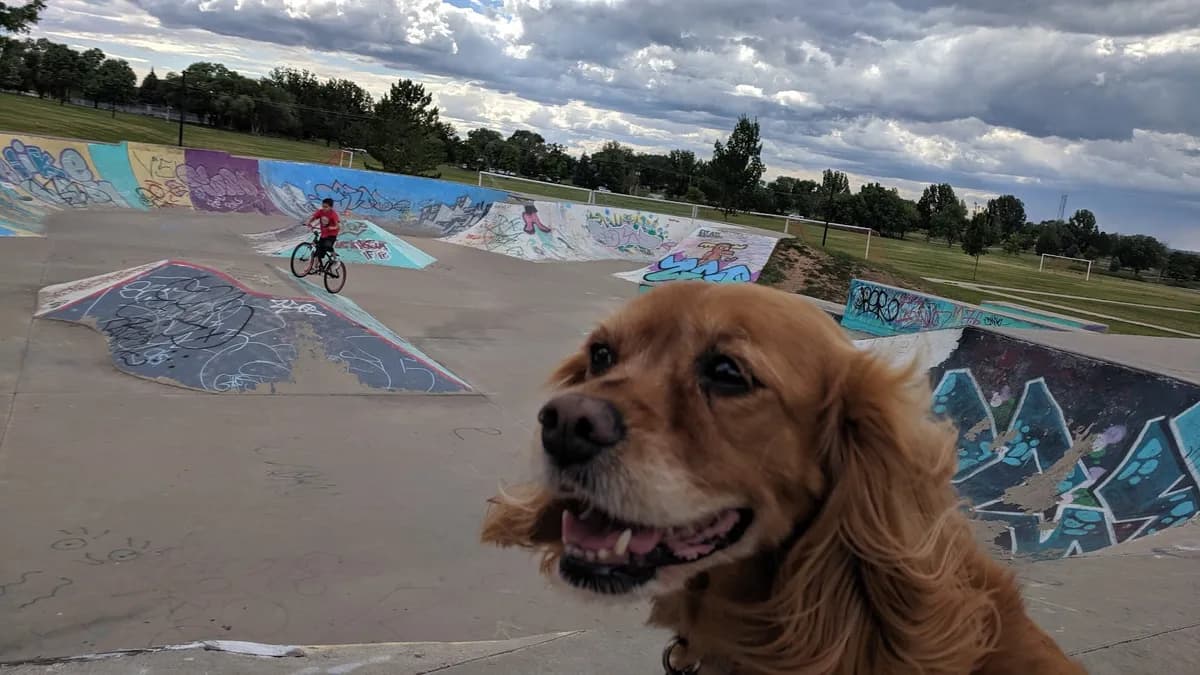 Cortez Skatepark