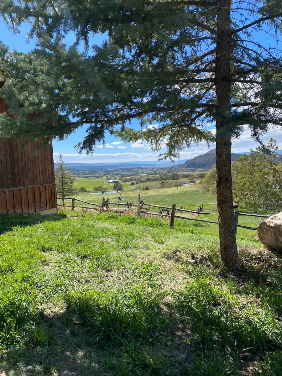 Ranch Haven