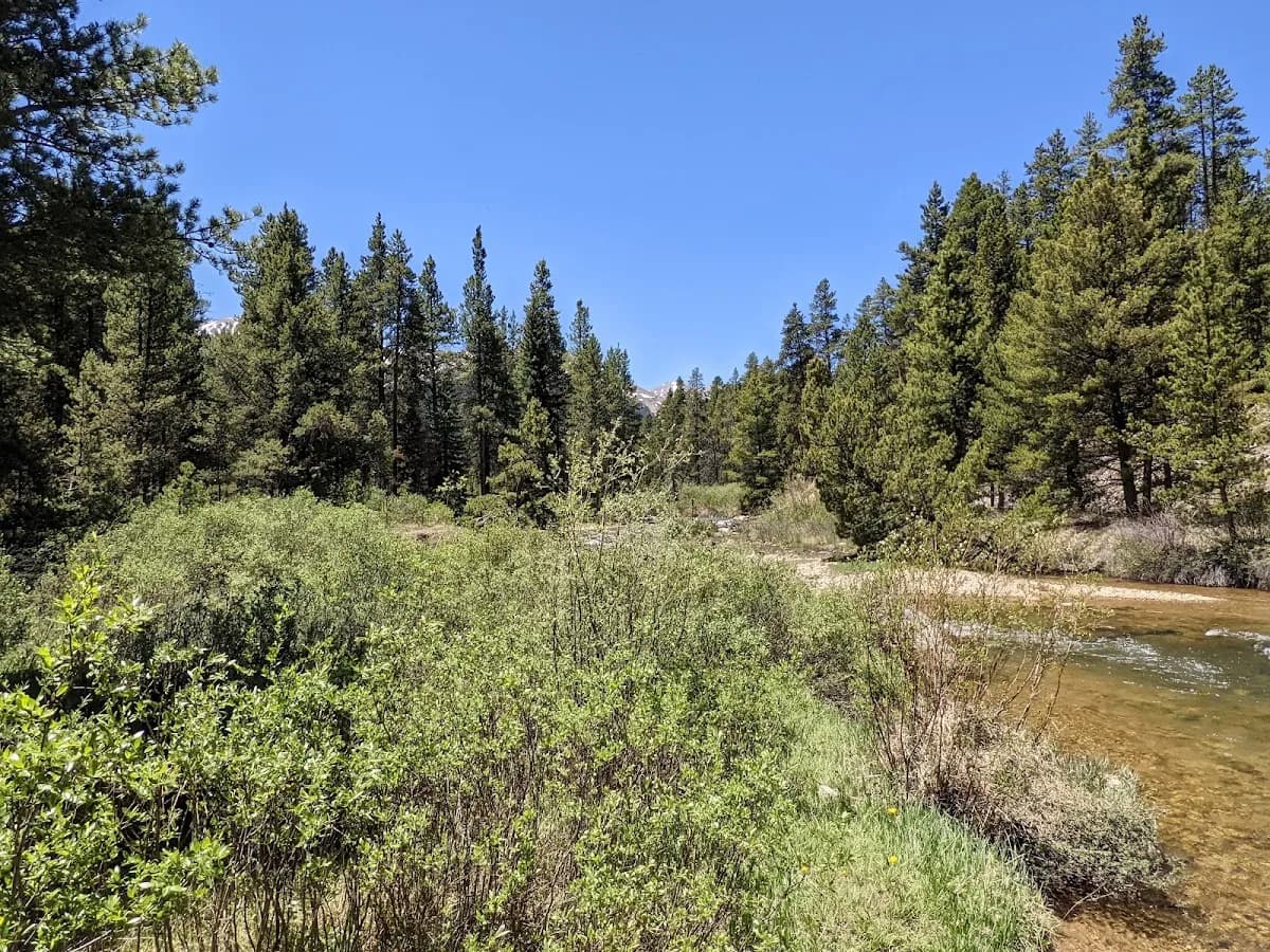 Halfmoon East Campground