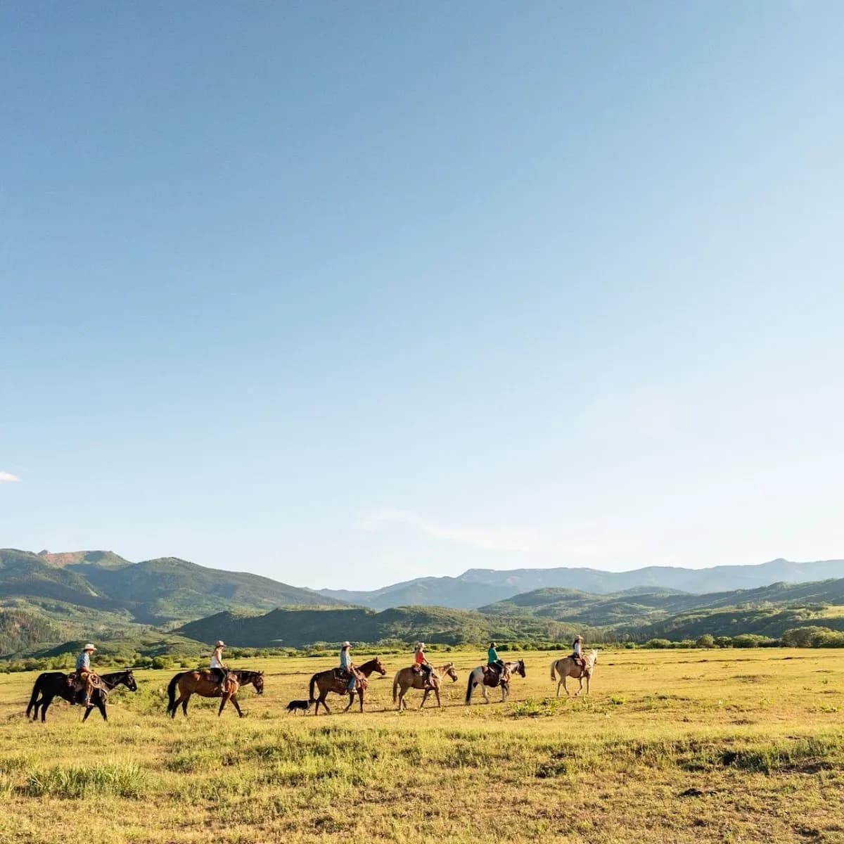 Snowmass Creek Outfitters