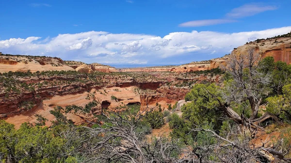 Mee Canyon image