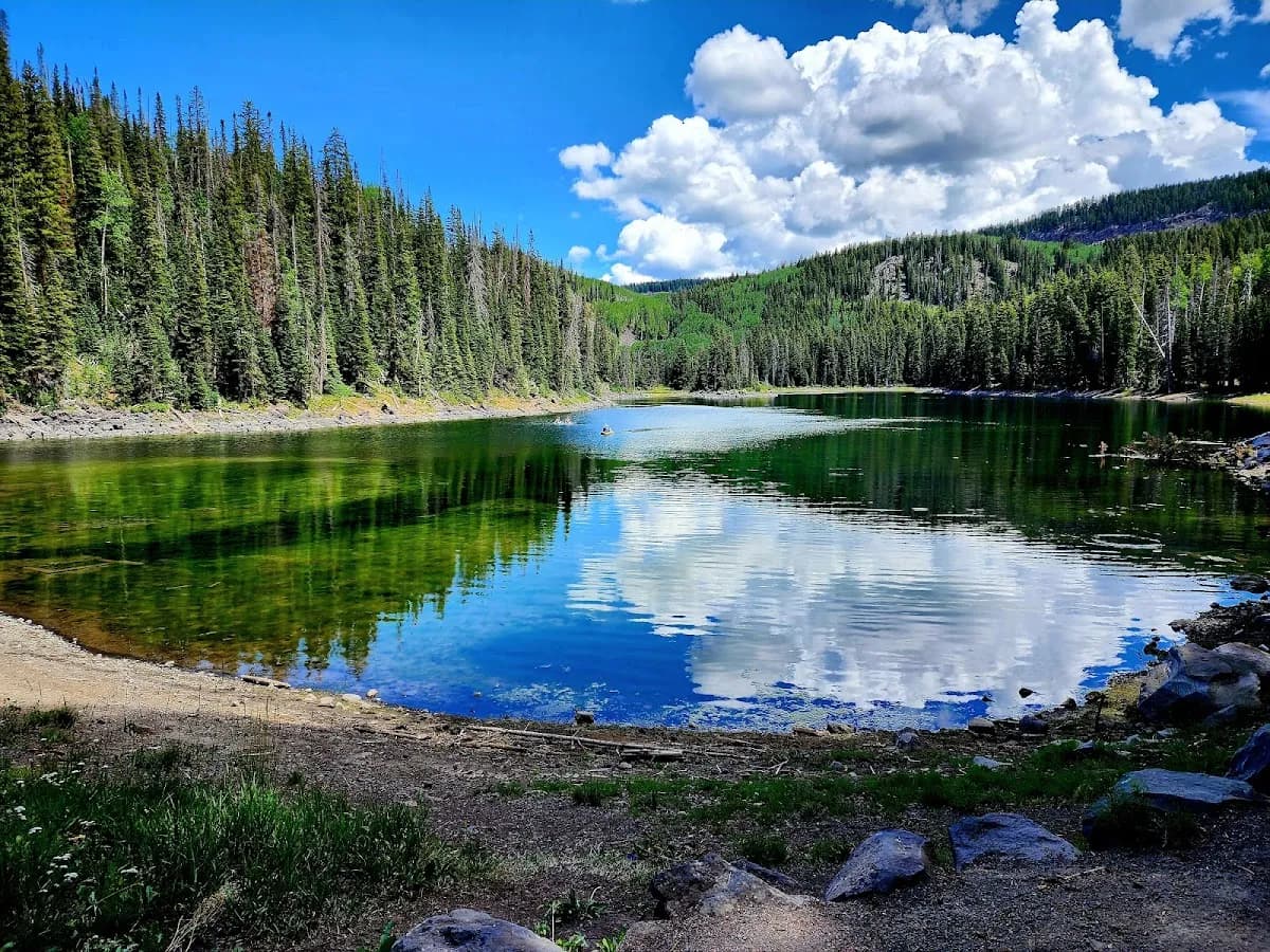 Grand Mesa, Uncompahgre and Gunnison National Forests