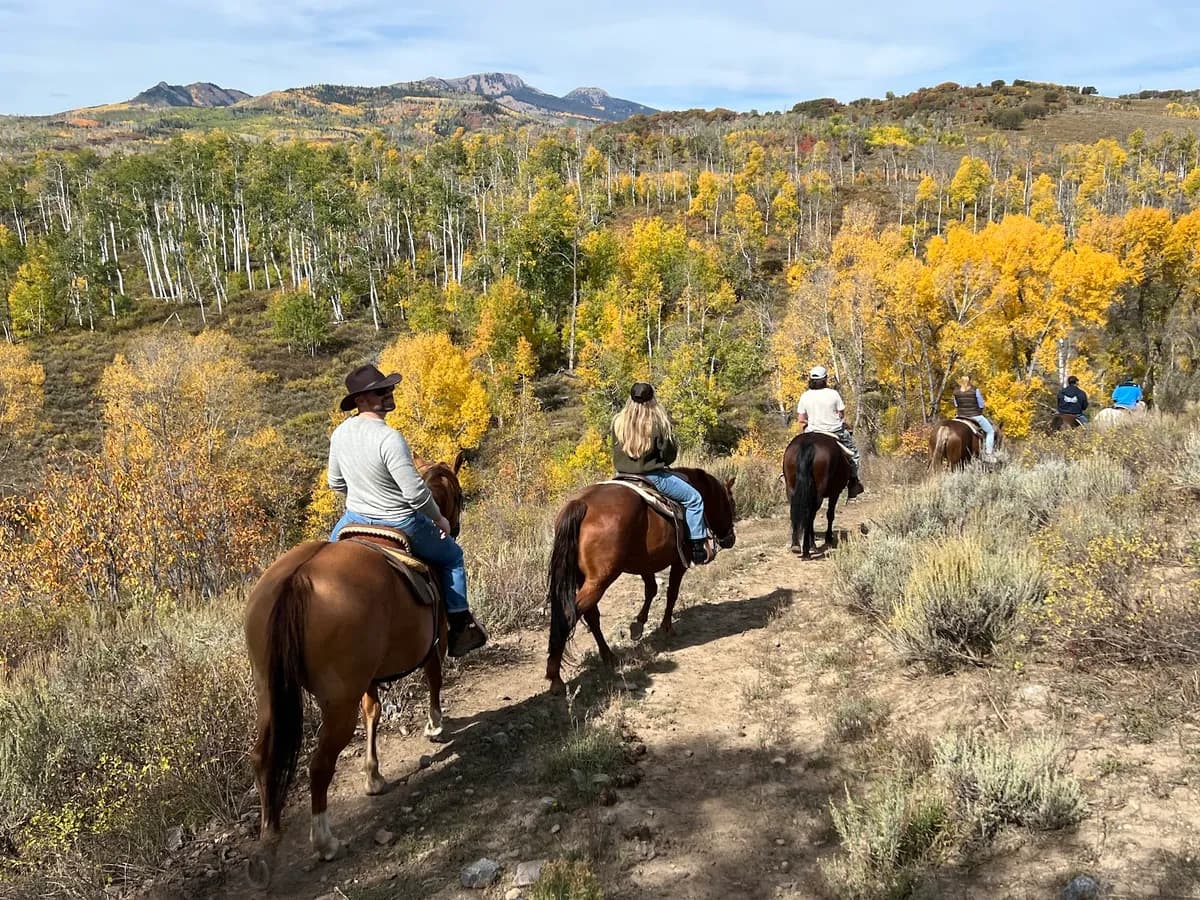 Del's Triangle 3 Ranch photo 2