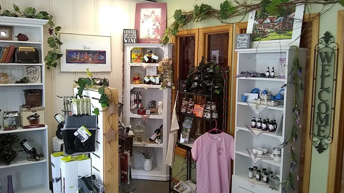 Gubbini Winery photo 1
