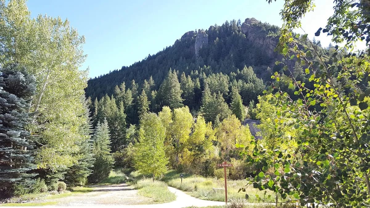 L'Auberge d'Aspen image