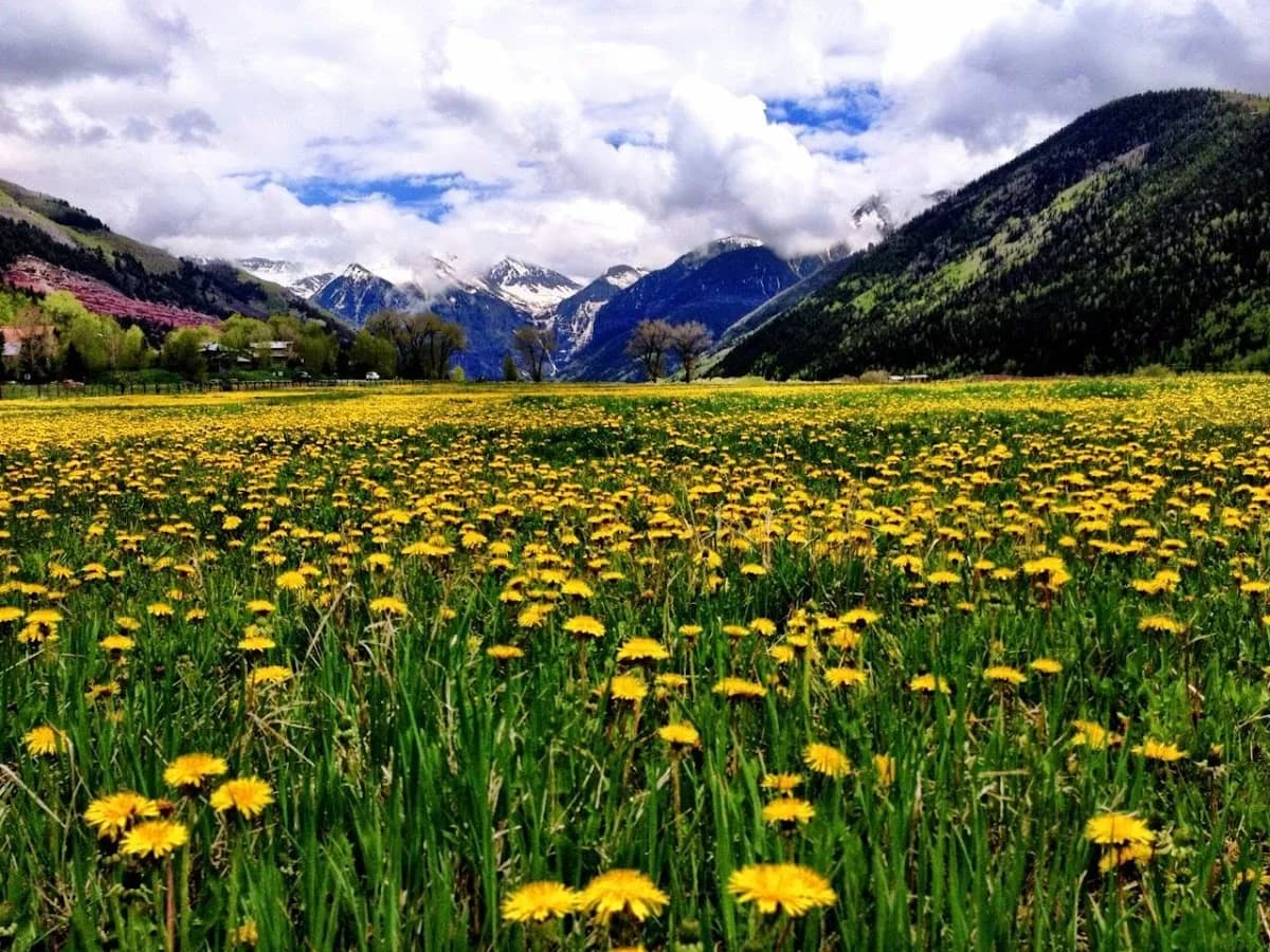 Telluride Travel Rentals