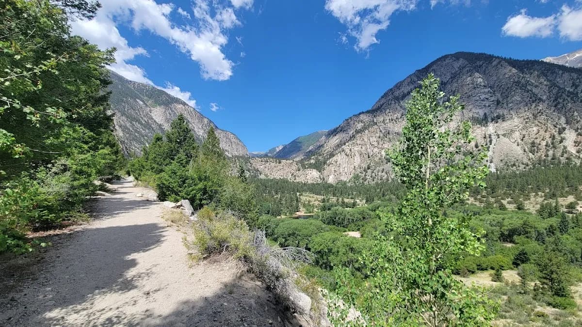 Mount Princeton campground