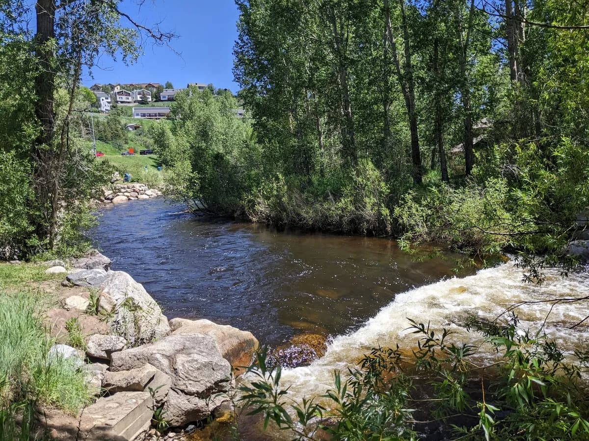 Dr. Rich Weiss Park photo 1