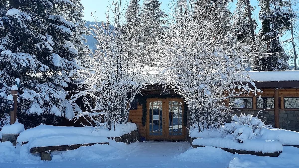 Daven Haven Event Venue/Cabins/ and BackStreet Pub photo 3