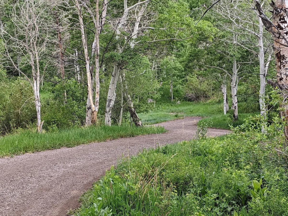 Mesa Creek Campground