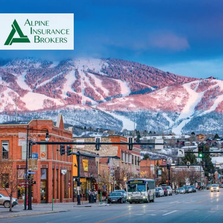 Alpine Insurance Brokers