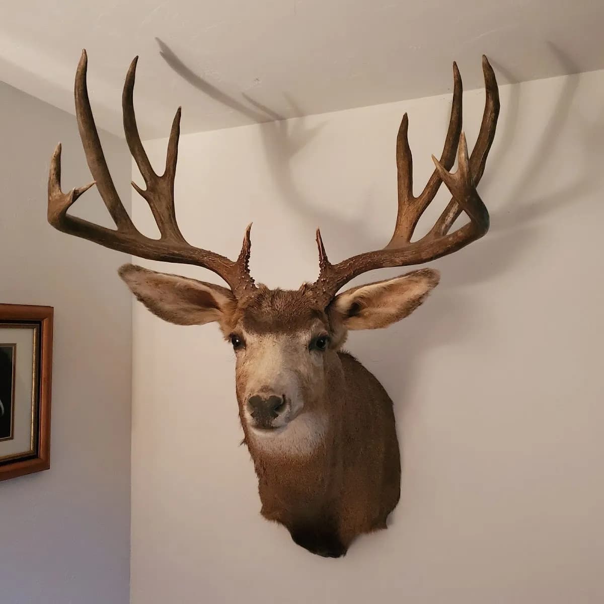 Gypsum Creek Outfitters