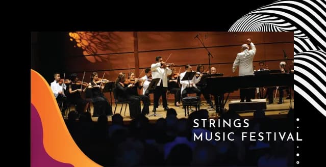 Strings Music Festival photo 1