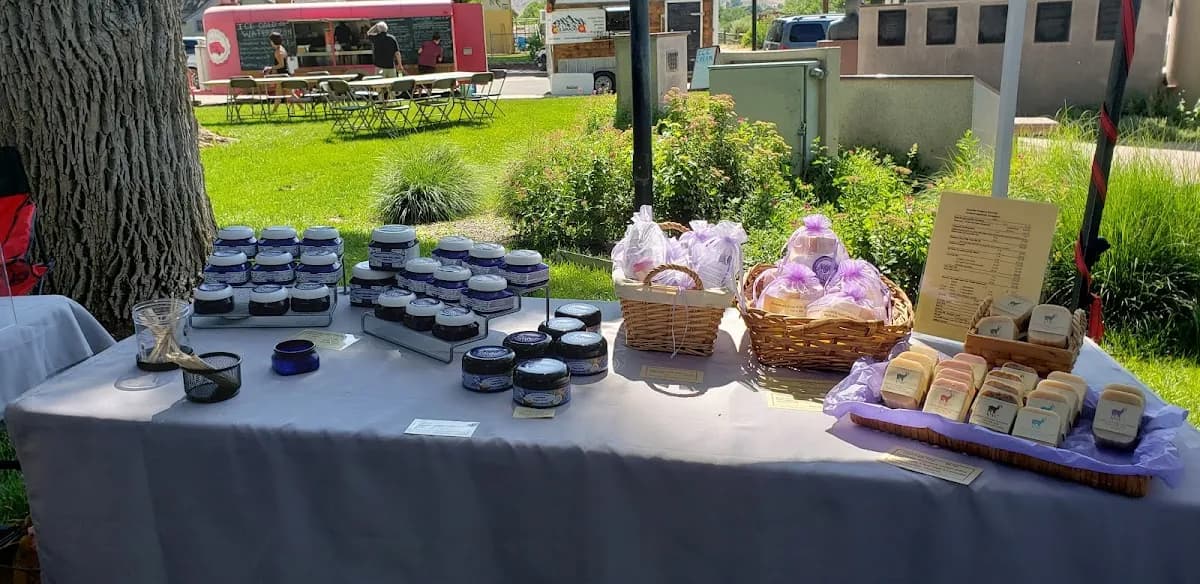 Palisade Community Center image