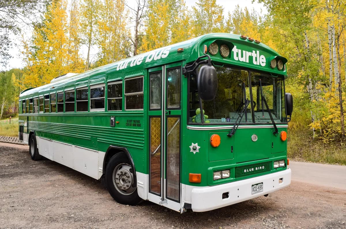 Turtle Bus