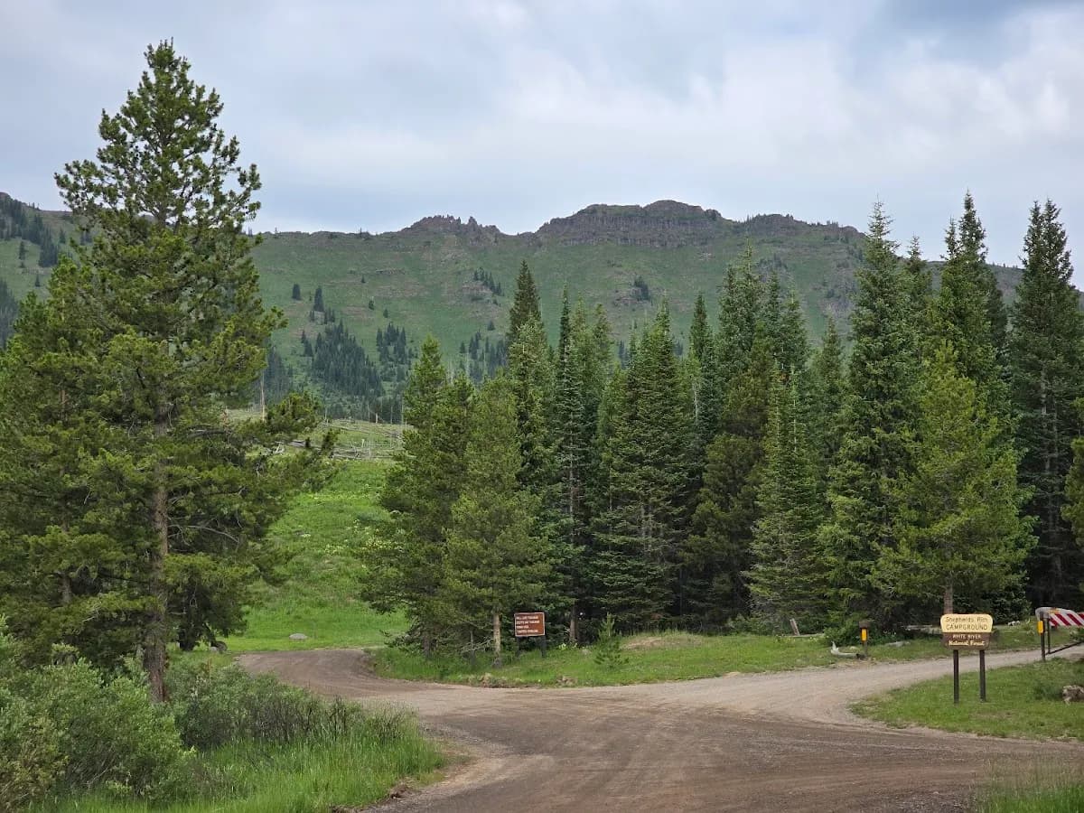 Shepherds Rim Campground