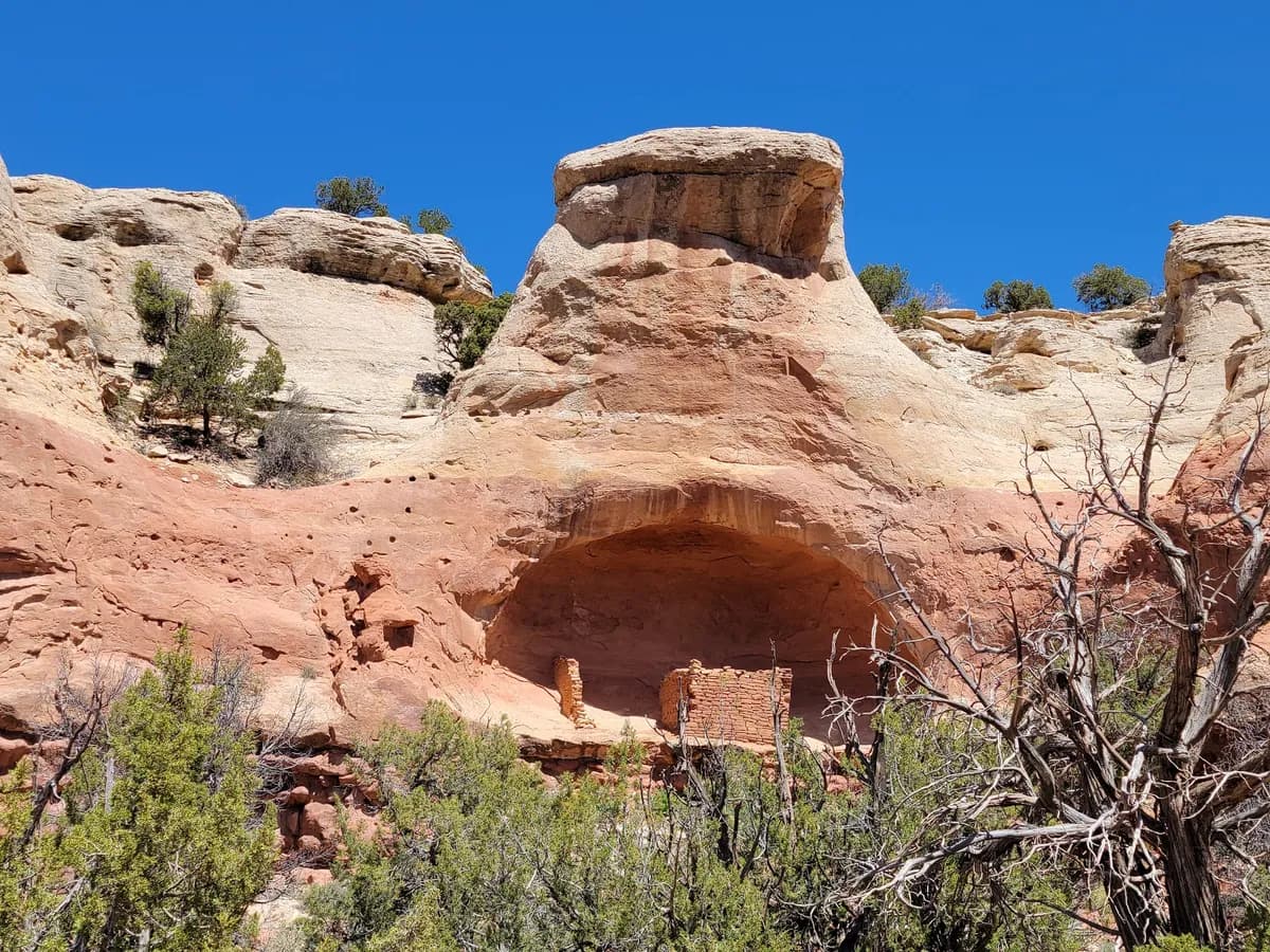 Canyons of the Ancients National Monument