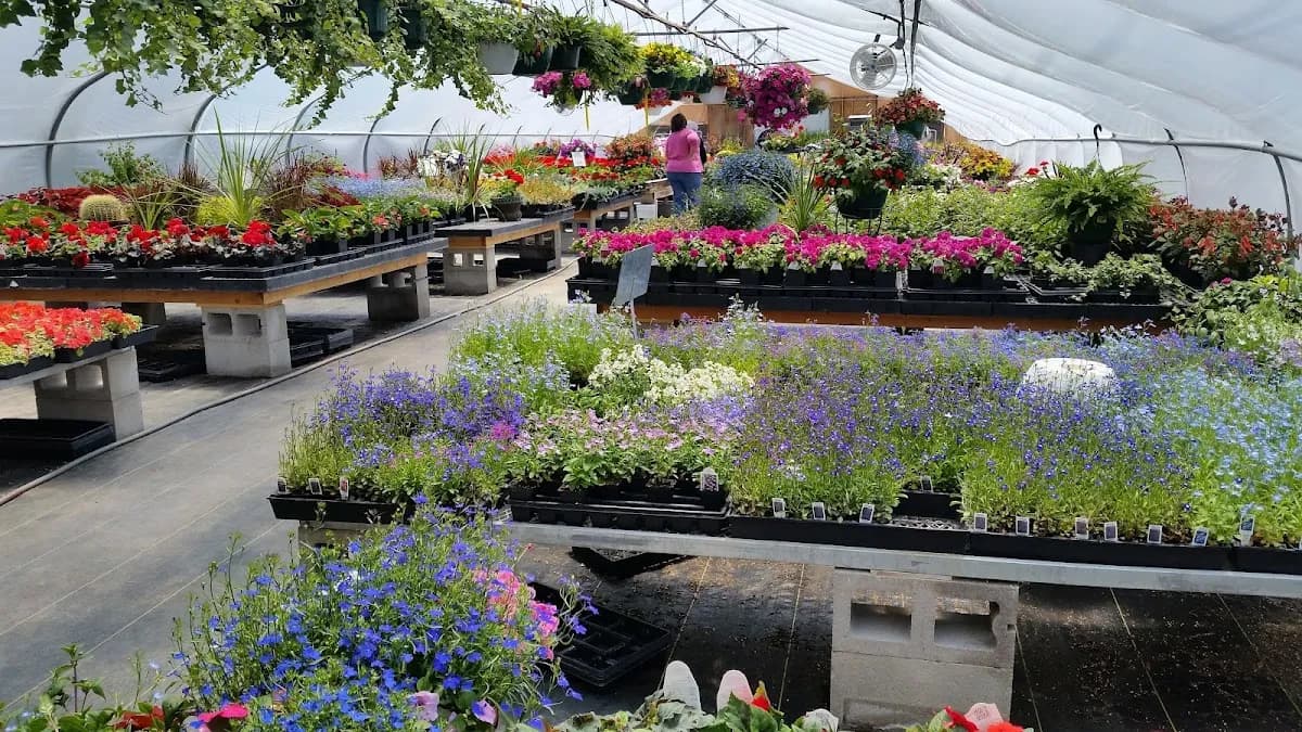 Alpine Garden Center Inc