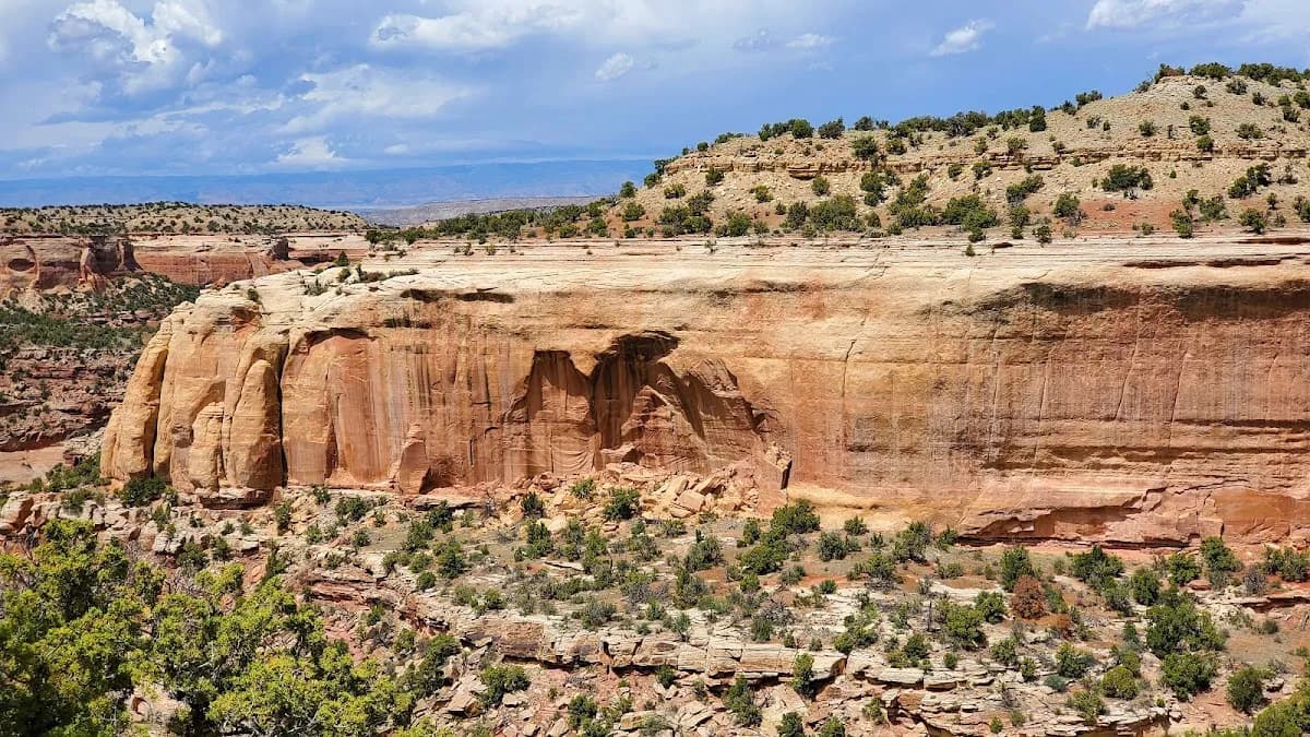 Black Ridge Canyons Wilderness (Colorado)