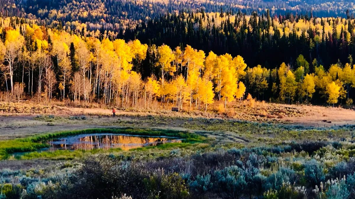 Cooper Family Three Crown Ranch photo 1