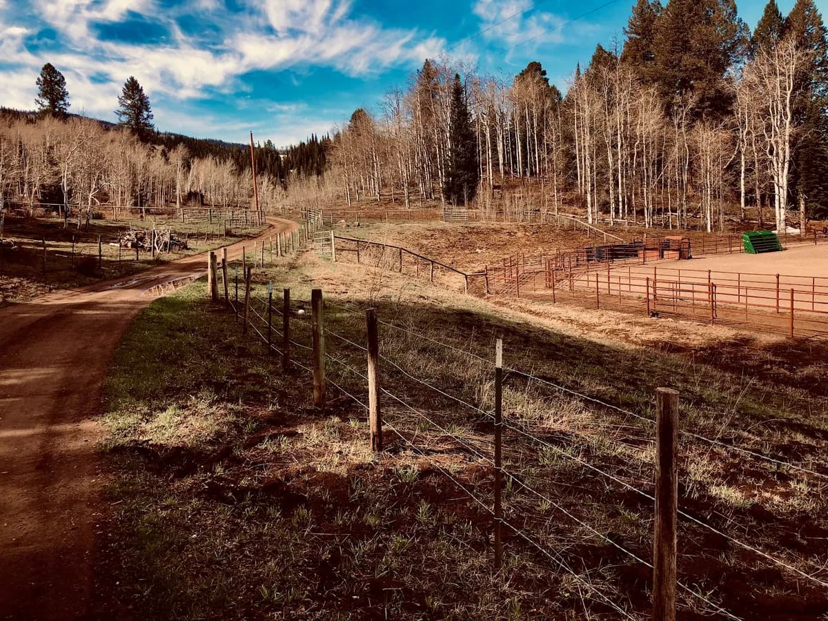 Cooper Family Three Crown Ranch photo 3
