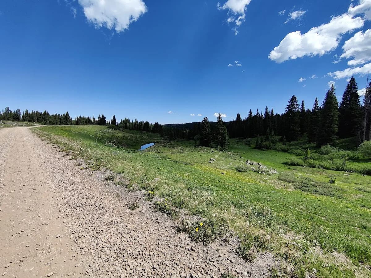 Bonham Campground