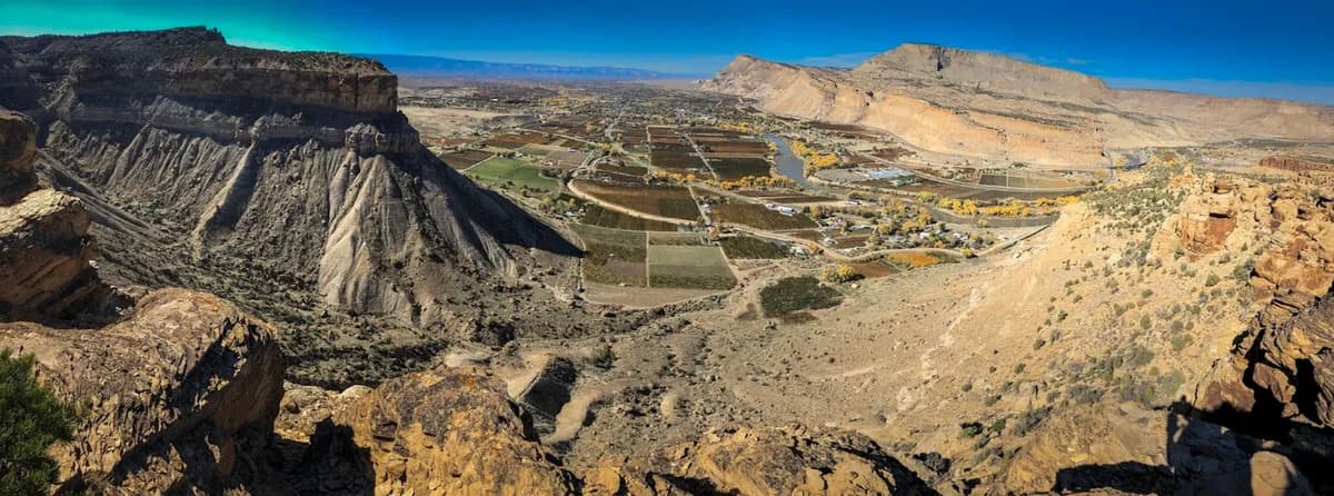 Palisade