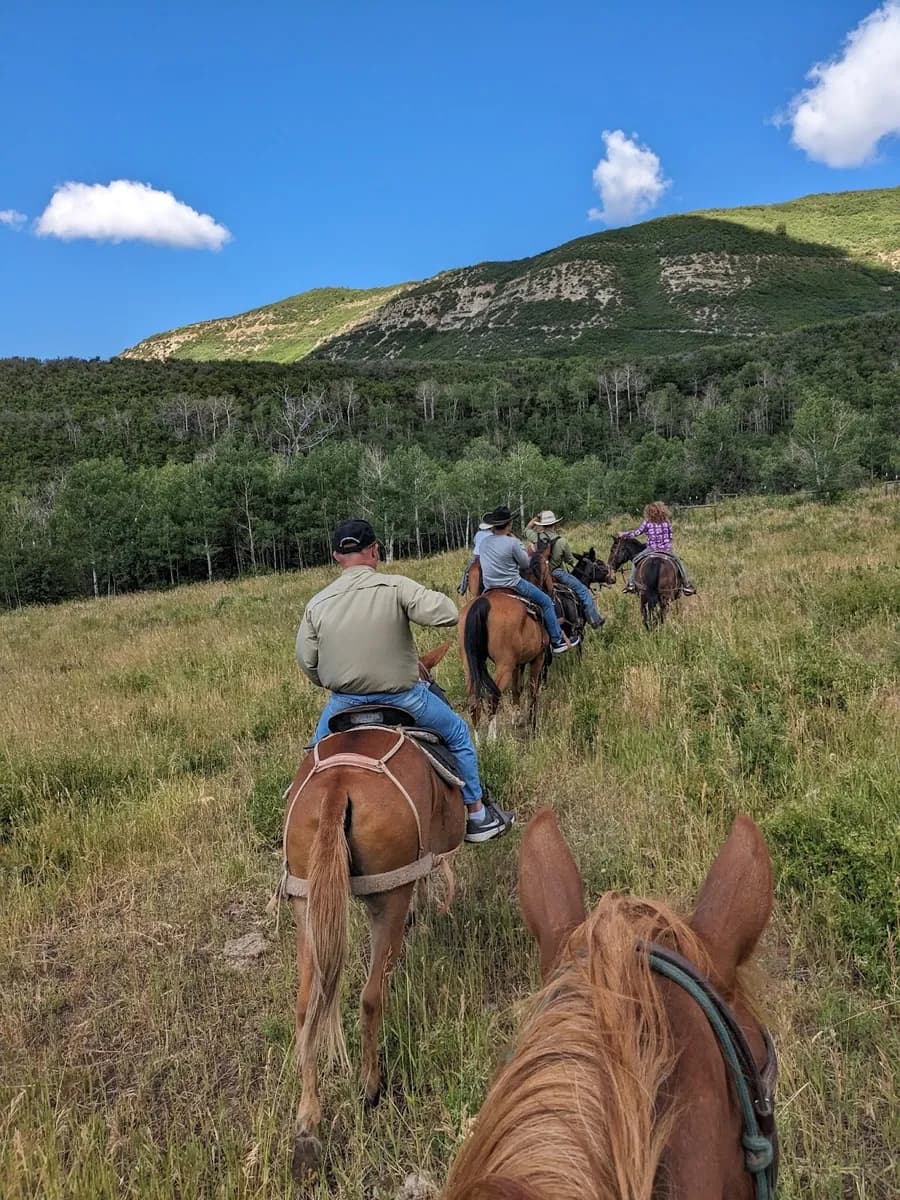 Elk Camp Outfitters, LLC