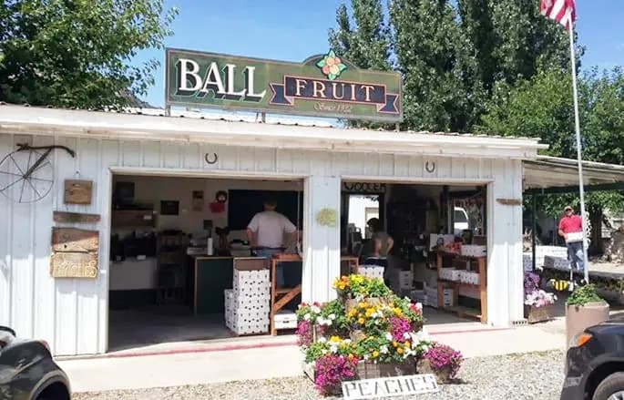 Ball Fruit