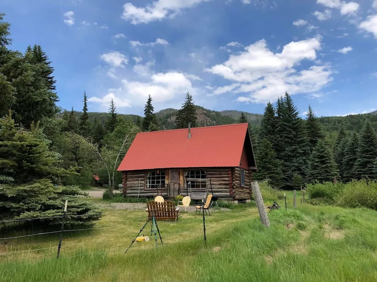 Unplugged dog-friendly getaway with tree-lined views
