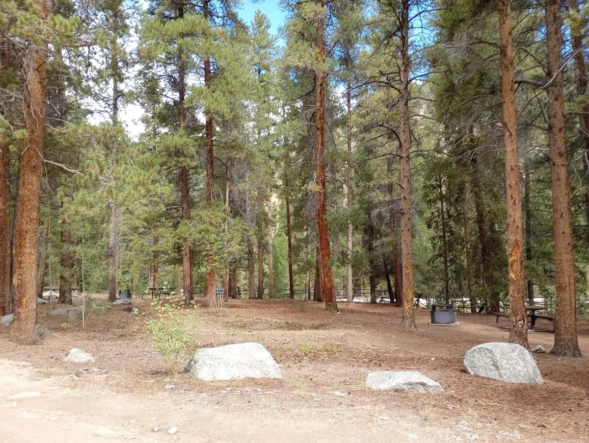 Cold Spring Campground - Gunnison RD (recgovnpsdata)