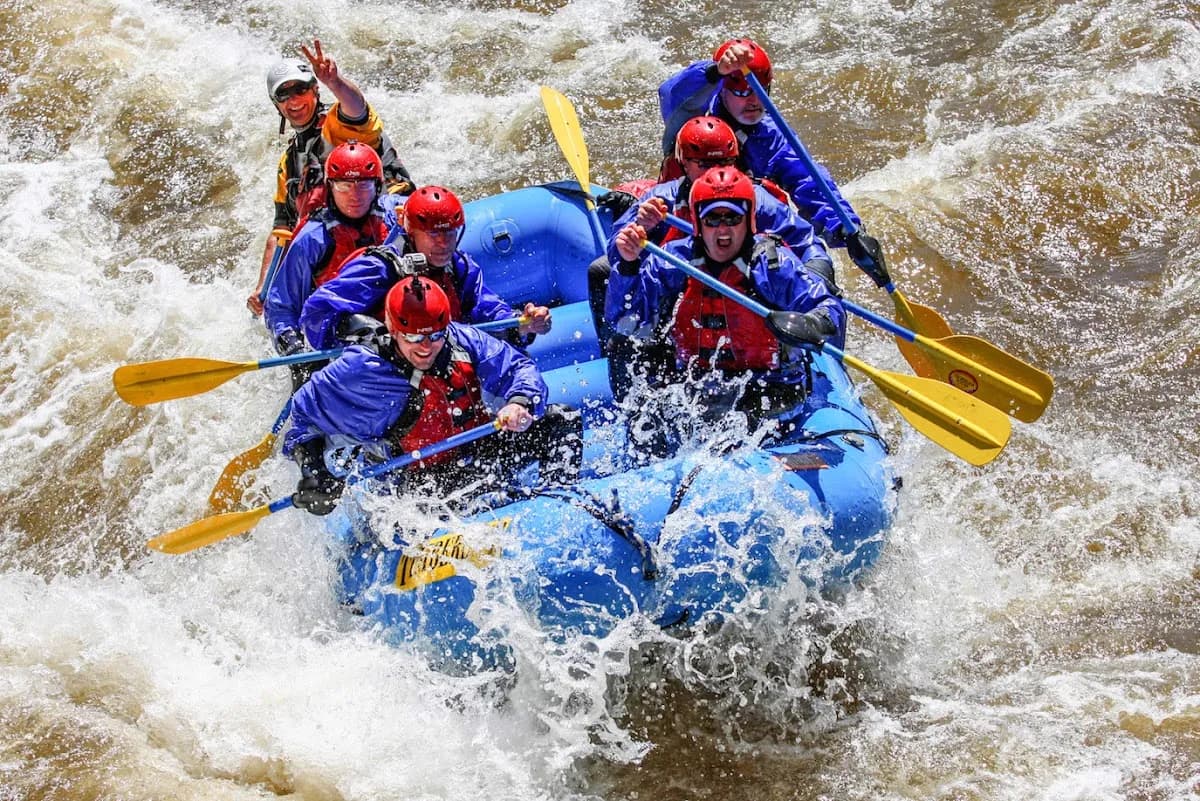 Timberline Tours