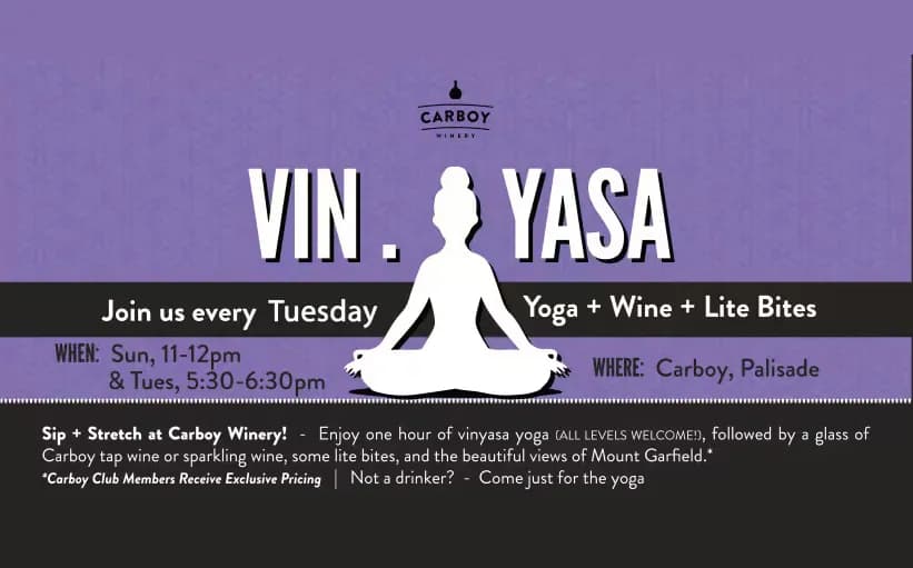 Vin.Yasa Flow-Tuesday afternoons