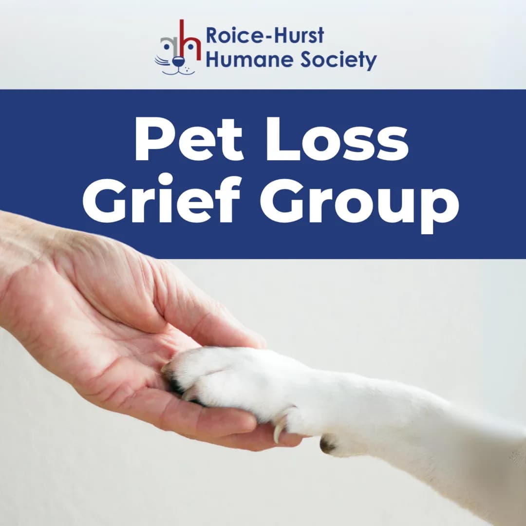 Pet Loss Grief Group