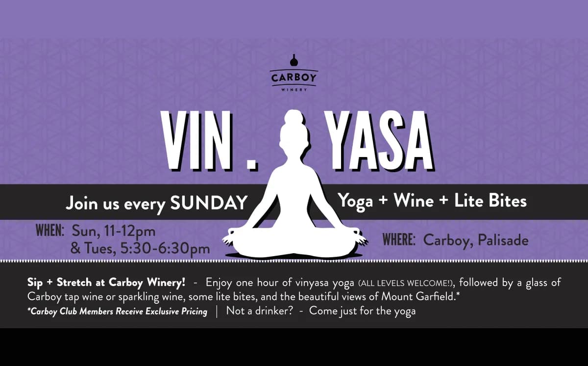 Vin.Yasa Yoga-Sunday mornings