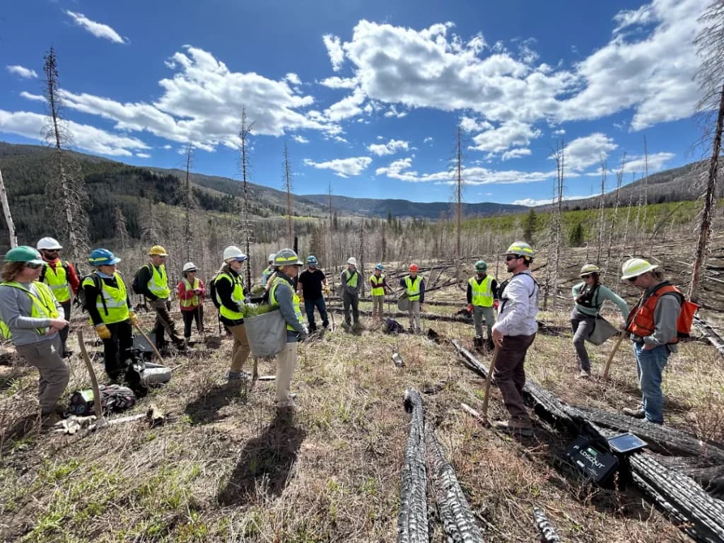 Climate Crew: Plant trees in Big Red Park