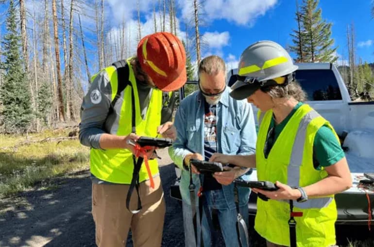 Volunteer: Regeneration Surveys