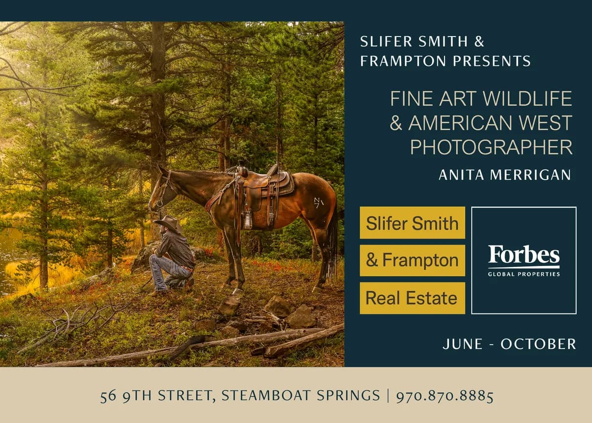 First Friday Artwalk - New Exhibit Featuring Anita Merrigan