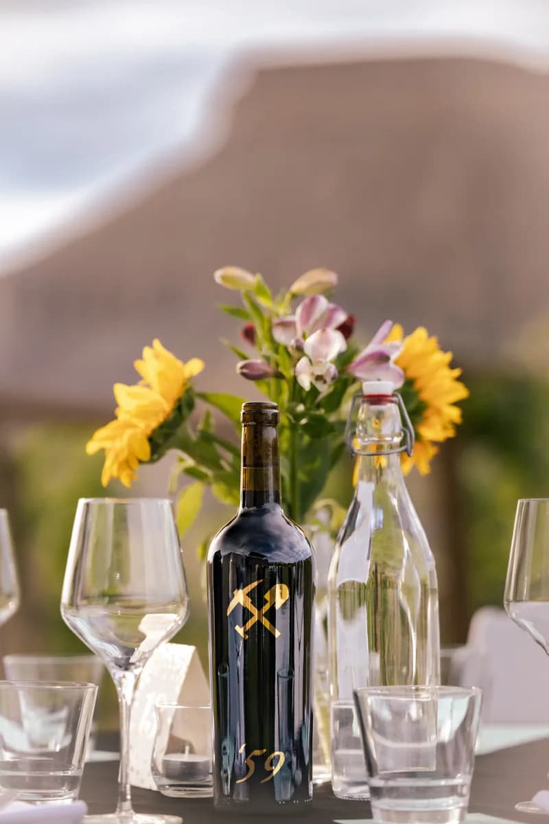 Dine in the Vines Wine Pairing Dinner