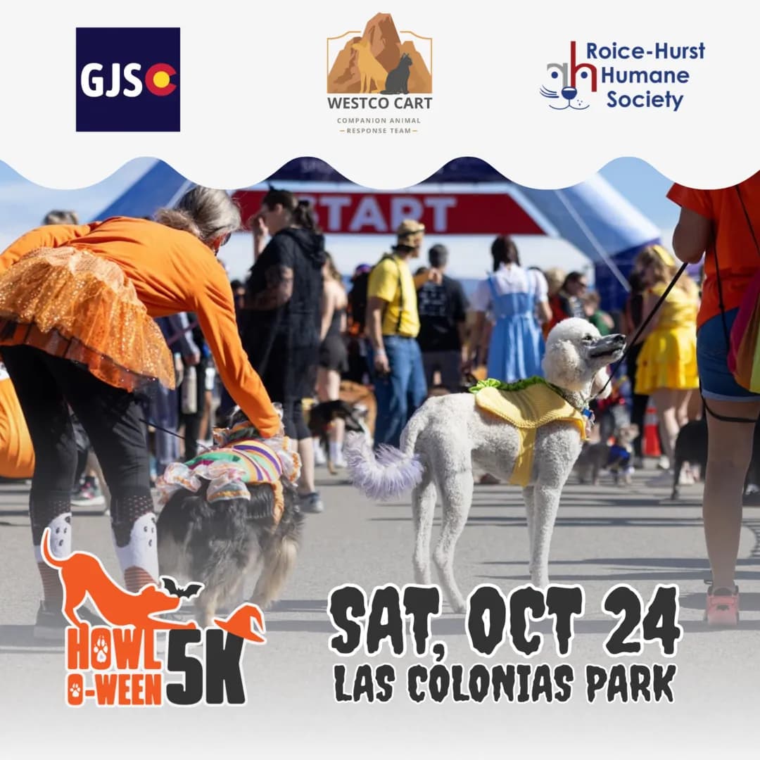 Howl-o-ween Dog 5K