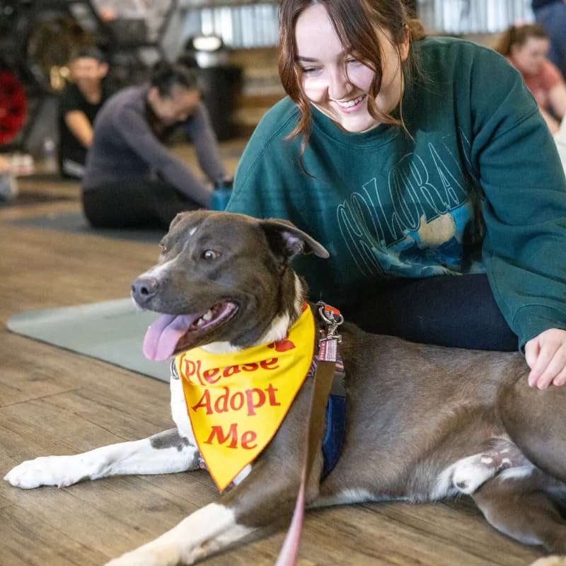 Shelter Pet Yoga with Roice-Hurst Humane Society