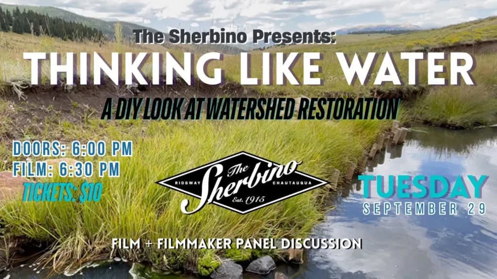 Thinking Like Water – A DIY Look At Watershed Restoration