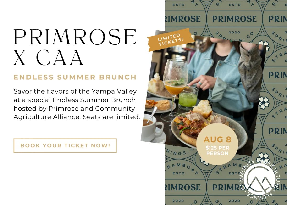 Endless Summer Brunch at Primrose
