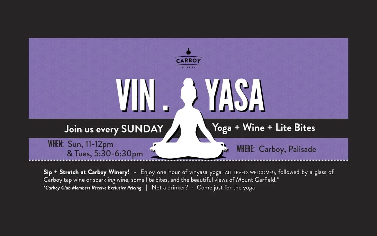 Vin.Yasa Yoga-Sunday mornings